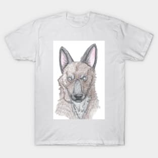 Spooky Shepherd T-Shirt